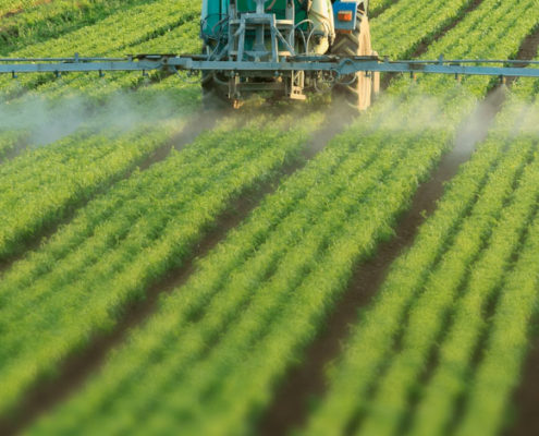 glyphosate classified as not carcinogenic