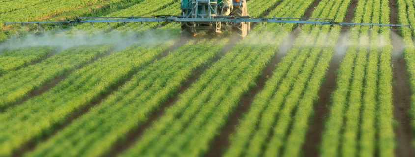 glyphosate classified as not carcinogenic